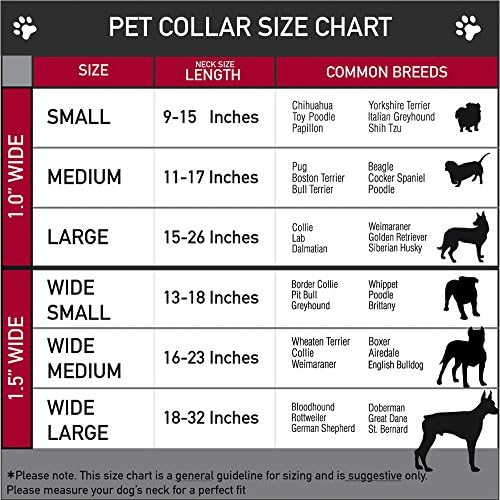 צווארון כלב צווארון בטיחות אבזם מפלצות אבזרים בעמ מקומות גבול גבול כחול סגול 11 עד 17 אינץ 'ברוחב 1.0 אינץ'