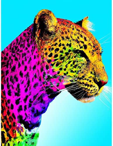 Rovepic 5d יהלום ערכות ציור צ'יטה צבעונית עגולה מקדחה מלאה, צבע DIY עם יהלומים אמנות חיה חיה חיה קריסטל ריינסטון תפר צלב לקישוטים לקיר