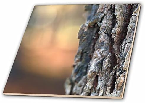3רוז תמונת מאקרו של עץ היקורי של שאגברק על רקע בוקה. - אריחים