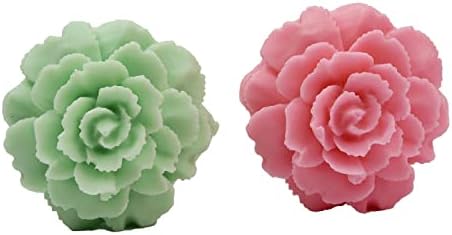 עובש HPBS עובש פונדנט מקשט תבנית סיליקון, חימר פולימר 3D סבון עוגת פרחים עובש לקישוט 2.55 * 2.55 * 1.49 אינץ '