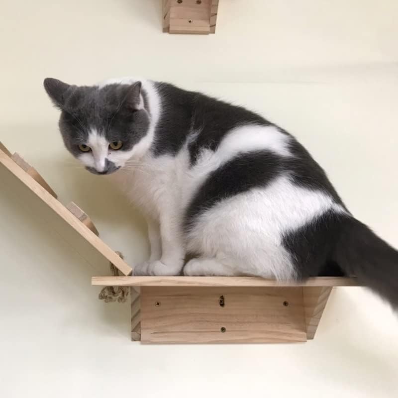 עץ חתול עץ חתול טיפוס מסגרת לוח עץ חתול קפיצות פלטפורמה עשה זאת בעצמך ריהוט לחיות מחמד חתלתול מקפצה קיר רכוב חתול צעצוע