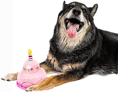 צעצוע כלב עוגת יום הולדת של מידלי 2 שכבות