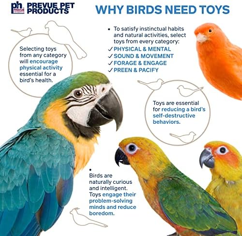 Prevue מוצרי חיות מחמד Preen & Pacify Calypso Creations Straw Stacker Bird Toy 62634