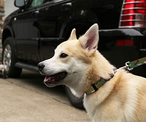 אייל חיית מחמד ללבוש צווארון כלבים Camo - צווארון כלבים אטום למים הסוואה, מיוצר בארצות הברית - 1 אינץ 'מתאים 11.5 - 17.5 אינץ', בינוני,
