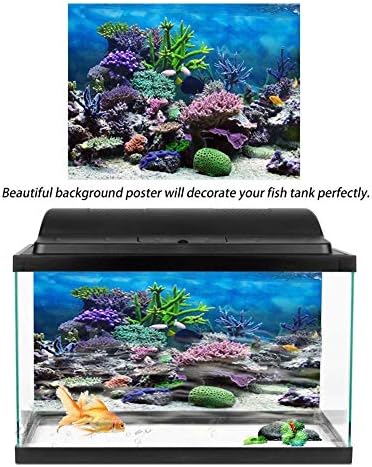 רקע אקווריום, HD דבק עצמי PVC רקע מיכל דגים אטום למים, רקע רקע של מיכל דגי אקווריום אלמוגים מתחת למים
