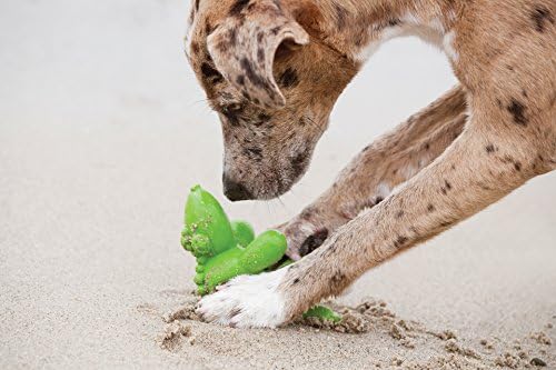 כלב חיצוני כלב חיצוני גומי ירוק בלון כלב צעצוע כלב חריק, XS